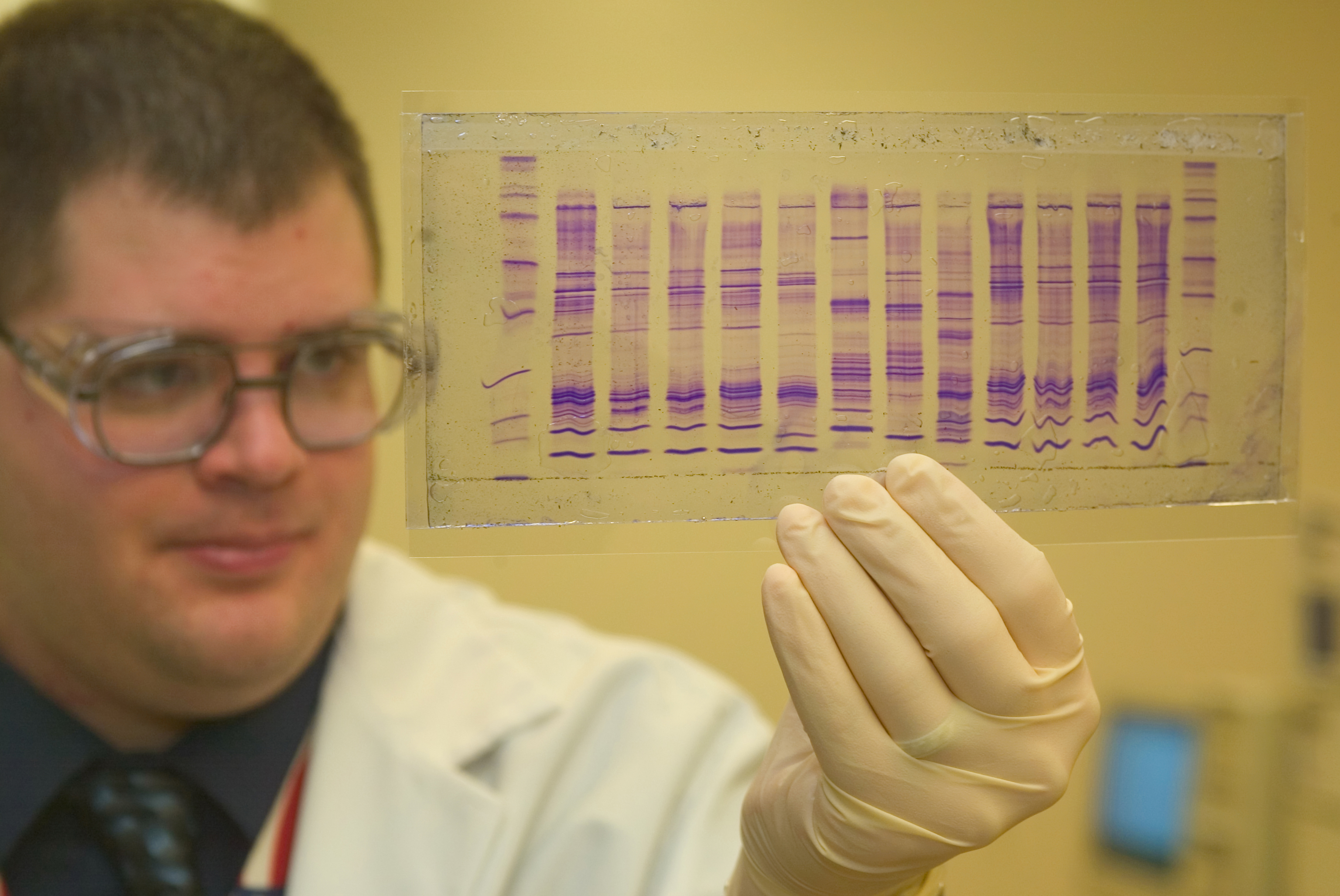 A U.S. Customs and Border Protection chemist examining a DNA profile